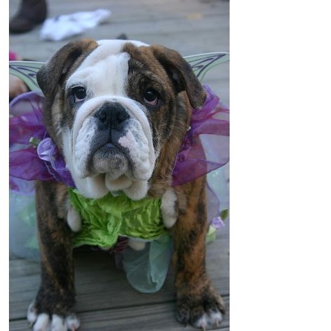 Marie Beaulieu Photo 7