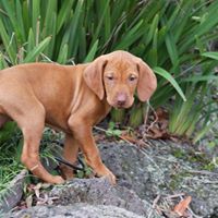 Andy Riddle Photo 19