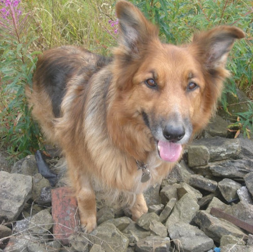 Phillip Stephenson Photo 19