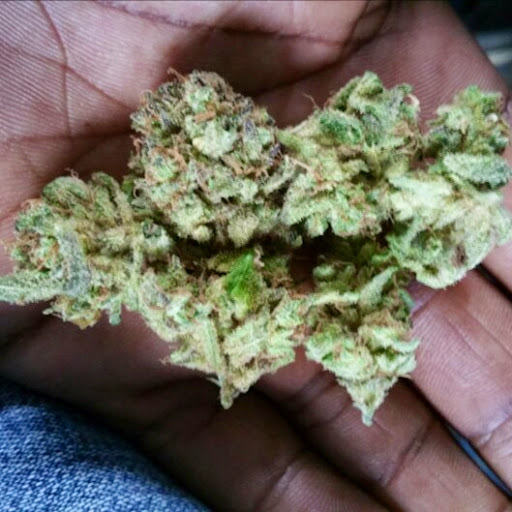 Donald Turner Photo 11 Donald Turner Photo 11