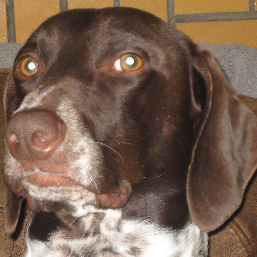 Robert Velasquez Photo 29