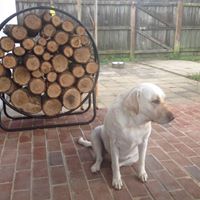 Marc Robins Photo 21