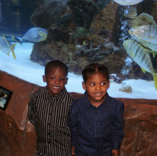 Jacqueline Black Photo 16