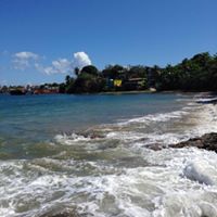 Nancy Firmin Photo 1