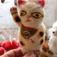 Steve Collier Photo 23