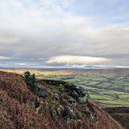 Robert Bateman Photo 48 Robert Bateman Photo 48