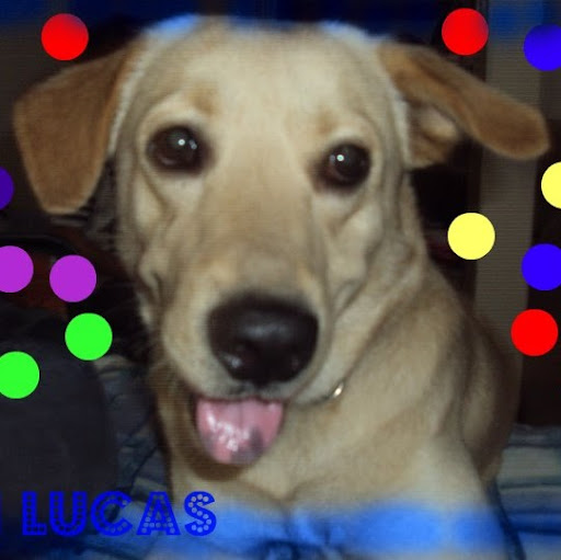 Alejandro Pelaez Photo 7