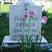 Ann Arthur Photo 33