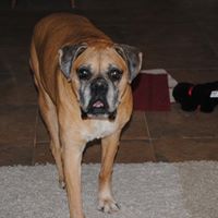 Connie Cooley Photo 17