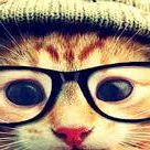 Julia Franz Photo 13 Julia Franz Photo 13