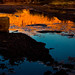 Dawn Arroyo Photo 23