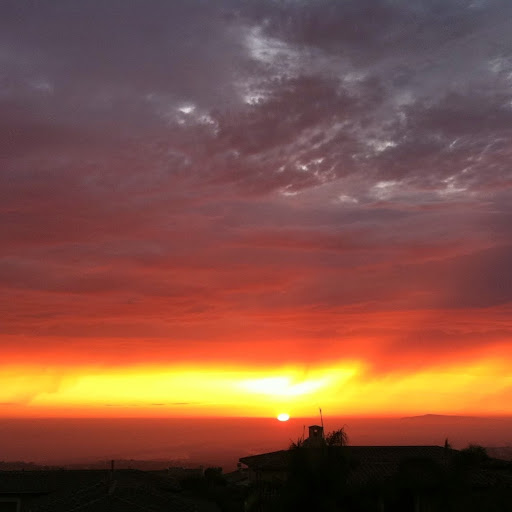 Sara Daugherty Photo 28