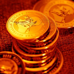 Stephen Hsieh Photo 18