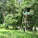 Cathy Dean Photo 14