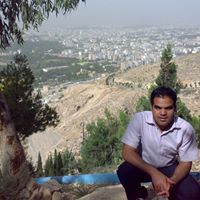 Reza Tavana Photo 4
