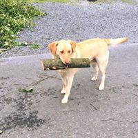 Melissa Turman Photo 9