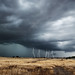 Javier Millan Photo 10