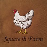 Angie Burnett Photo 13