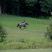 Stacy Dunning Photo 11