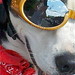 Rick Macomber Photo 13