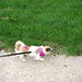Maggie Holden Photo 16