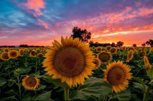 Crystal Coleman Photo 29