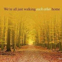 Darlene Collins Photo 12