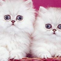 Jill Macfarland Photo 2