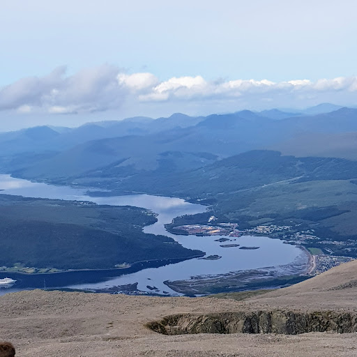 Kathryn York Photo 20