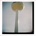 Diana Webster Photo 14