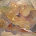 Steven Wills Photo 15