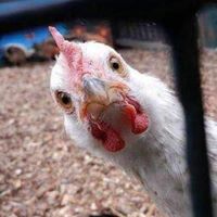 Marcos Rodriguez Photo 35