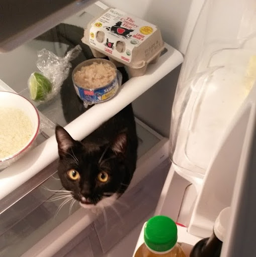 Anne Johnson Photo 50