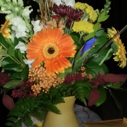 Donna Bentley Photo 37