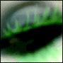 Donna Green Photo 15
