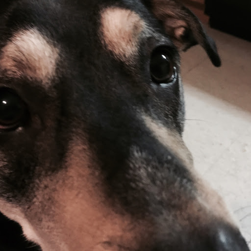 Daniel Carroll Photo 52