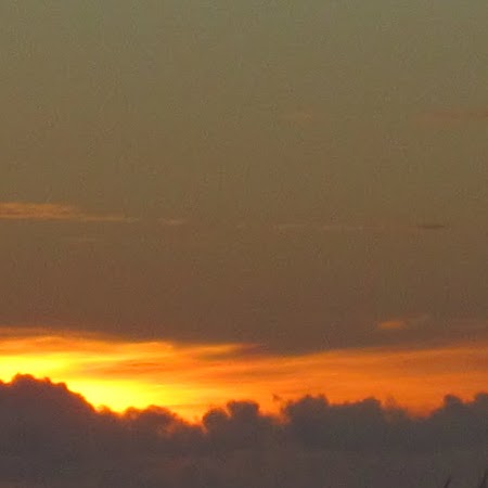 Denny Howell Photo 20