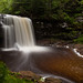 Glen Harrison Photo 17