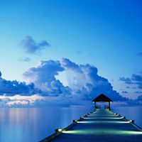 Kathleen Damico Photo 5