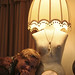 Susan Vaughan Photo 28