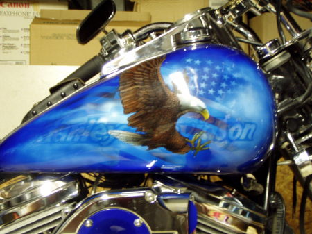 Michelle Ford Photo 33