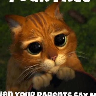 Natasha Powell Photo 23