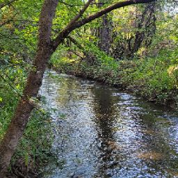 Jamie Holland Photo 38