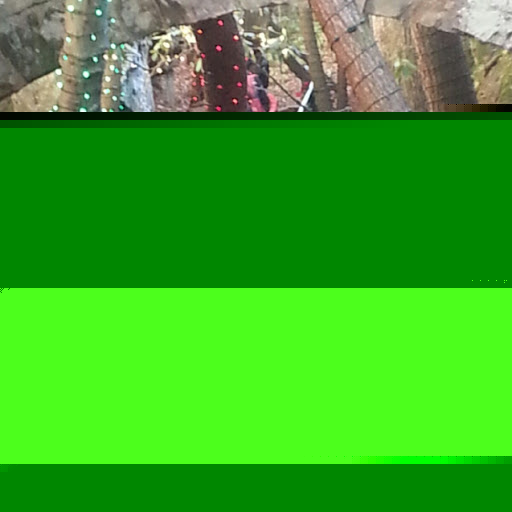 Laurie Roth Photo 29