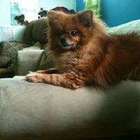 Molly Roach Photo 11