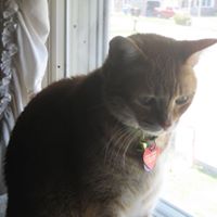 Carolyn Matheson Photo 15