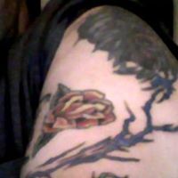 Jason Staley Photo 16