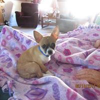 Terri Hamrick Photo 18