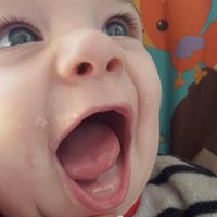 Shelley Hodges Photo 26