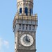 Robert Seltzer Photo 25